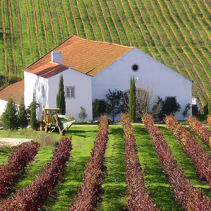 Quinta do Conde Galeria