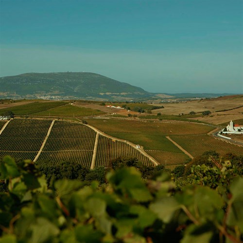 Quinta do Conde Gallery